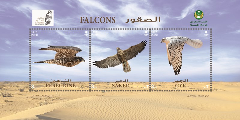 Saudi Post Issued a Postal Stamp on Falcons